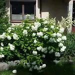Lesna * Giżycko