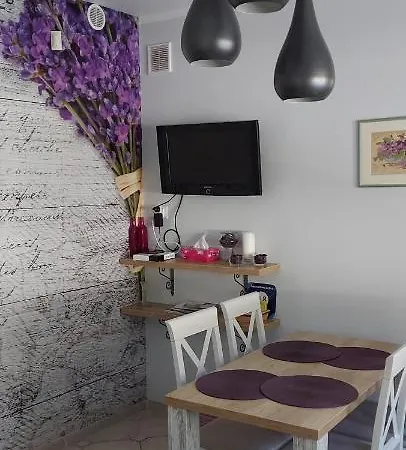 Apartment Apartament Lesna