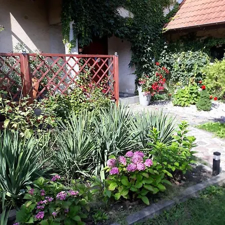 Apartament Lesna *