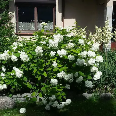 Apartament Lesna * Gizycko