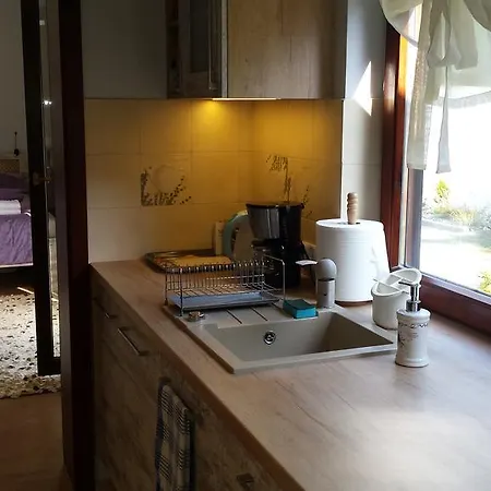 Apartment Apartament Lesna Gizycko